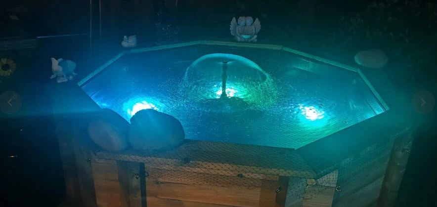 Before and after koi pond installation in a Cornwall garden.