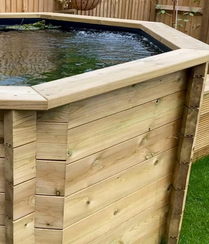 Close-up of wooden koi pond with koi fish in Cornwall.