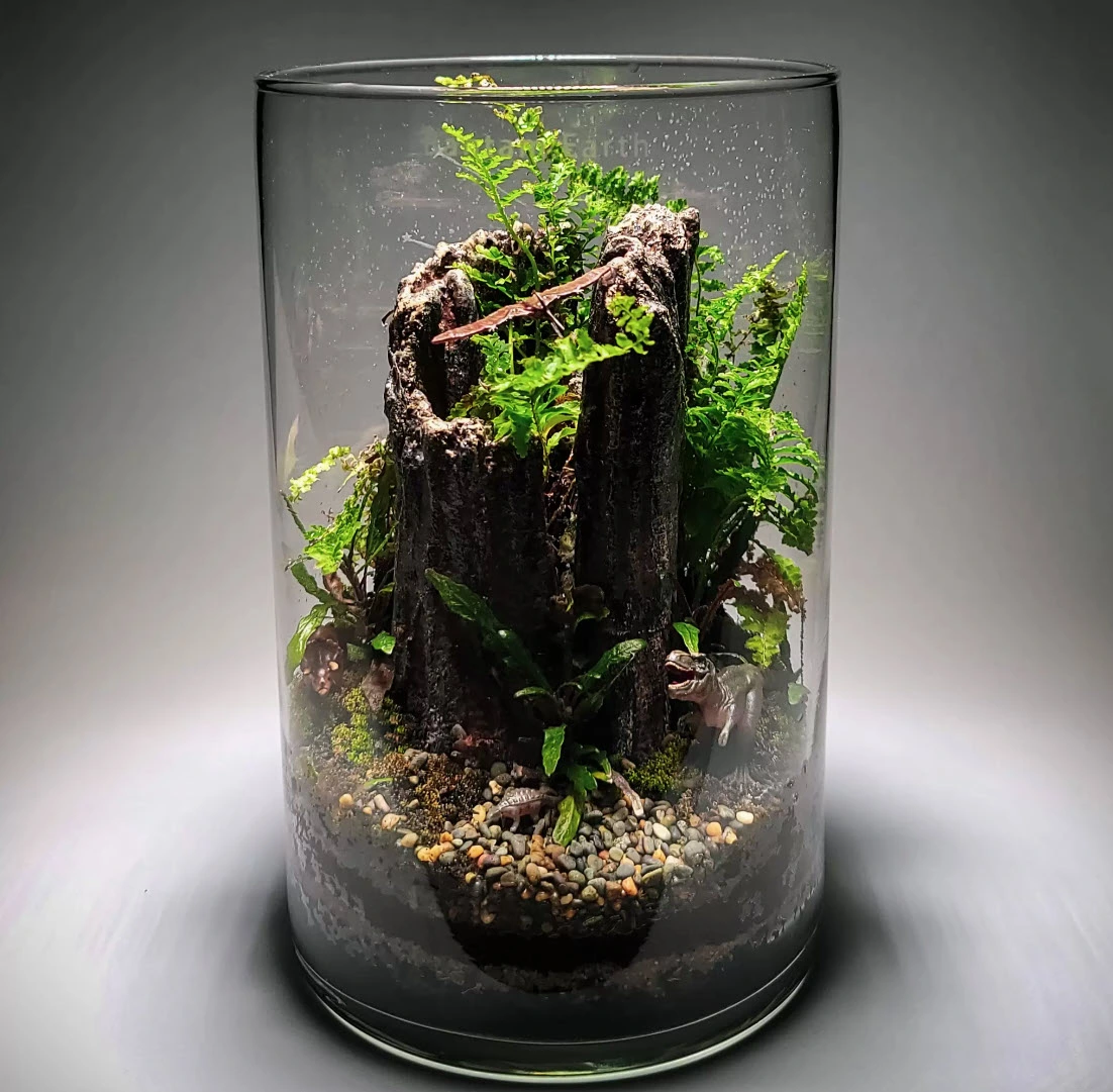 A close-up of the finished terrarium showing the lush fern inside.
