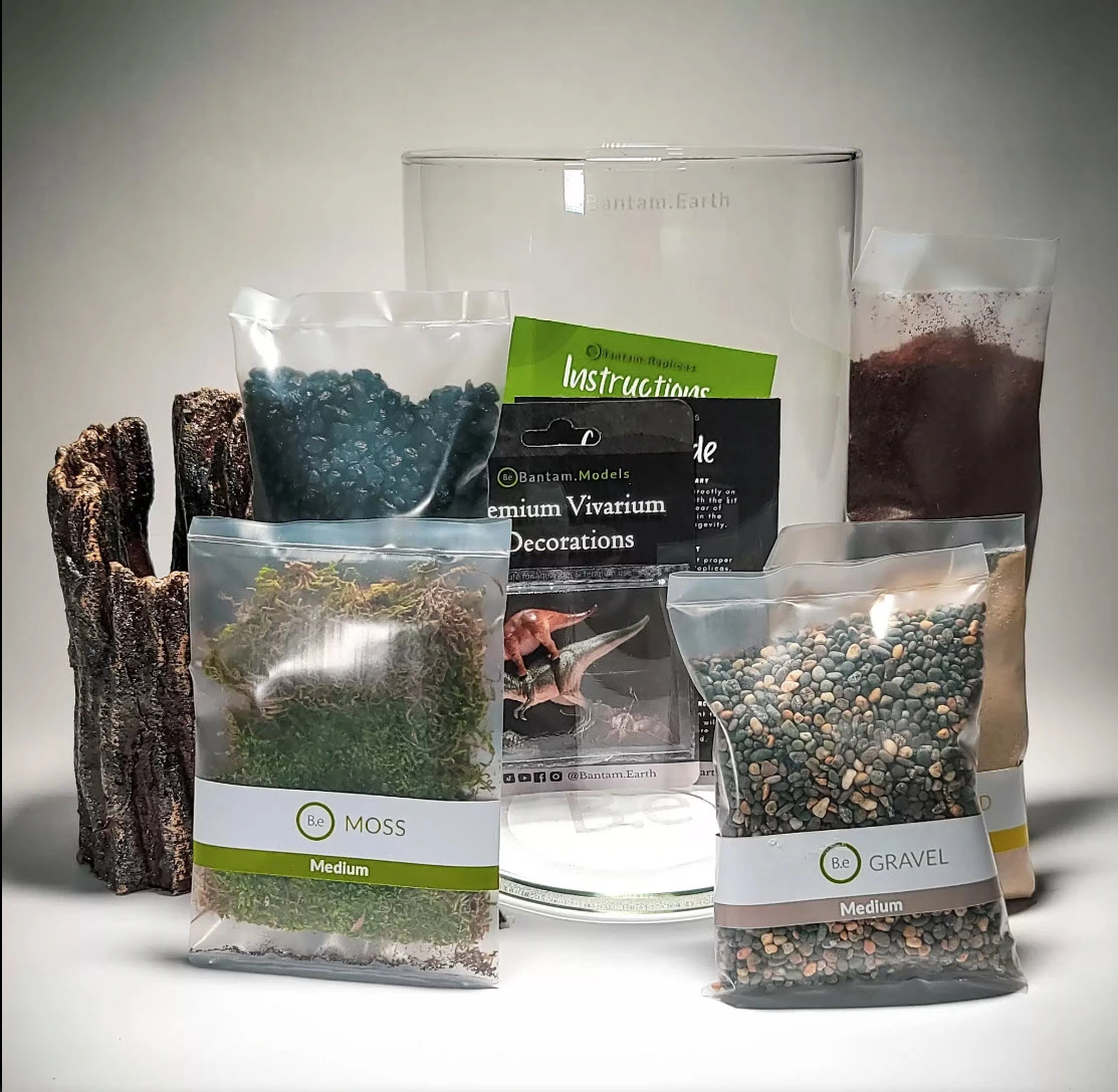 All the contents of the Peachtree Terrarium Kit laid out neatly.